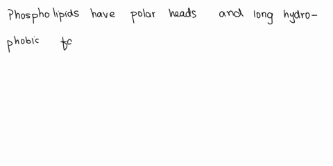 phospholipids-have-heads-and-long-fatty-acid-tails-hydroponic-von-saturaled-hydrophobic-polaroid-folar-sotonic-hypertonic-neutral-67635