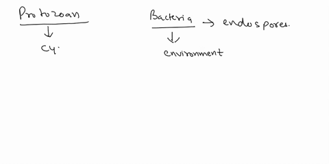 how-are-protozoan-cysts-similar-and-different-to-bacterial-endospores-29835