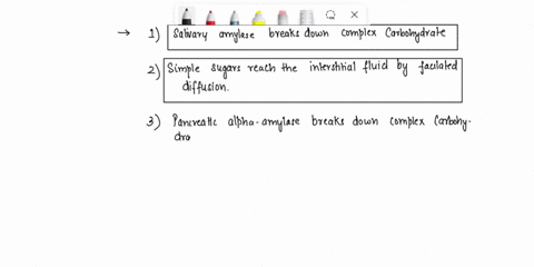 match-the-step-of-digestion-or-metabolism-with-the-correct-number-in-the-figure-salivary-amylase-breaks-down-complex-carbohydrates-simple-sugars-reach-the-interstitial-fluid-by-facilitated-d-72354