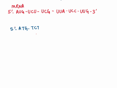 if-this-is-part-of-the-wildtype-mrna-to-be-translated-which-of-the-following-dna-sequences-would-represent-mutation-in-the-coding-strand-of-the-dna-that-changes-one-amino-acid-of-the-protein-36558