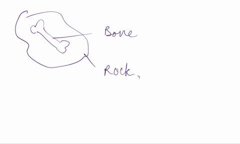 you-find-a-bone-encased-in-rock-that-may-have-belonged-to-the-first-settlers-in-california-which-isotope-would-you-use-to-date-the-rock-to-determine-the-bones-age-uranium-235-uranium-238-car-03699