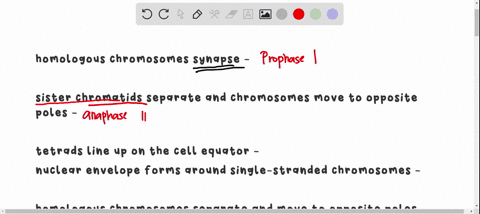 match-the-stage-of-meiosis-with-the-events-that-occur-within-it-homologous-chromosomes-synapse-sister-chromatids-separate-and-chromosomes-move-to-opposite-poles-tetrads-line-up-on-the-cell-e-47447