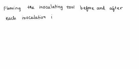 lab-discussion-can-pure-culture-be-prepared-from-mixed-culture-broth-explain-explain-why-the-following-steps-are-essential-during-sub-culturing-flaming-the-inoculating-tool-before-and-after-85083