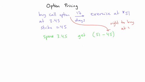 you-purchased-a-call-option-for-345-17-days-ago-the-call-has-a-strike-price-of-45-and-the-stock-is-now-trading-for-51-if-you-exercise-the-call-today-what-will-be-your-holding-period-return-04272