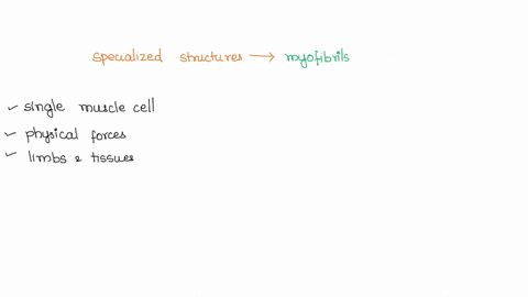 the-specialized-structures-that-allow-skeletal-muscle-contraction-are-called-select-answer-which-contain-repeating-contractile-units-called-select-answer-actin-filaments-which-of-the-followi-11095