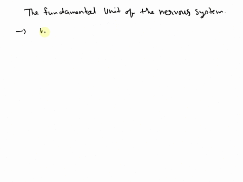 what-is-the-fundamental-unit-of-the-nervous-system-46382