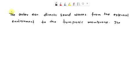 which-region-of-the-ear-gathers-information-and-funnels-sound-the-outer-ear-the-inner-ear-the-middle-ear-the-cochlea-64177