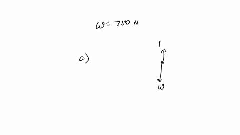 the-weight-of-a-skydiver-is-750-n-the-weight-of-the-skydiver-acts-downwardsas-shown-in-the-diagram-while-the-skydiver-is-fallinganother-force-acts-upwards-the-upward-force-varies-as-the-skyd-80538