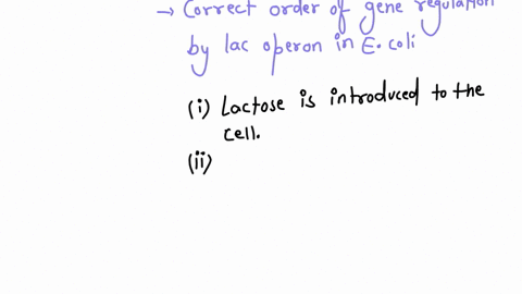 the-lac-operon-in-e-coli-controls-the-gene-expression-of-the-enzymes-that-digest-lactose-in-the-cell-in-the-presence-of-lactose-the-lac-operon-will-turn-on-and-the-genes-will-be-expressed-pl-68718