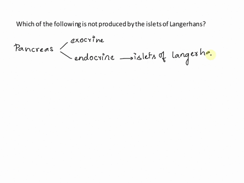 which-of-the-following-is-not-produced-by-the-islets-of-langerhans-pancreatic-juice-insulin-somatostatin-glucagon-60658