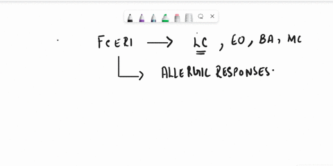 an-individual-is-born-that-lacks-the-genes-necessary-to-produce-the-high-affinity-fc-epsilon-ri-receptor-fcri-which-one-of-the-following-statements-about-this-individual-is-false-a-this-indi-59133