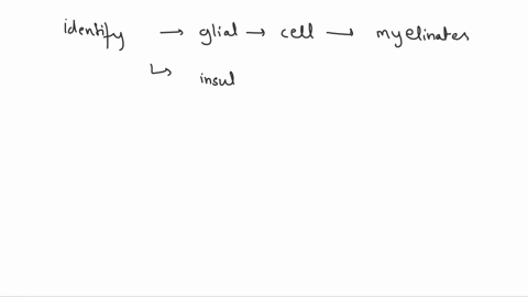 the-glial-cell-that-myelinates-and-insulates-axons-in-the-peripheral-nervous-system-is-the-31914