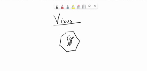 viruses-are-essentially-a-strand-of-genetic-material-within-a-protective-protein-coating-known-as-a-71626
