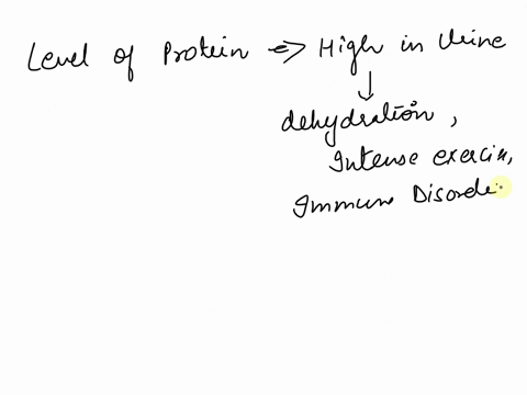 tracey-knows-that-proteinuria-protein-in-the-urine-after-intense-exercise-is-common-however-protein-is-typically-not-present-in-urine-which-of-the-following-normally-prevents-proteins-from-b-38294