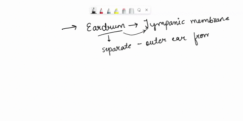 please-type-it-out-its-hard-for-me-to-read-most-handwritings-2-sound-waves-hitting-the-eardrum-set-it-into-vibration-trace-the-pathway-through-which-vibrations-and-fluid-currents-travel-to-f-74335