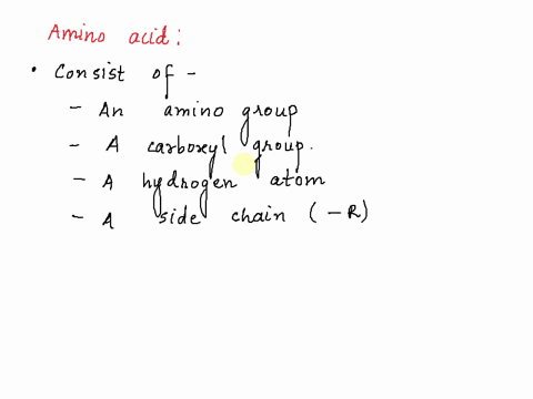 amino-acids-are-the-monomers-of-proteins-their-characteristics-allow-proteins-to-have-specific-function-which-component-of-an-amino-acids-is-responsible-for-its-reactivity-amino-group-centra-87641