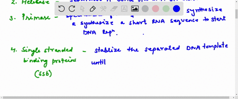 1-match-the-enzymes-or-proteins-with-their-roles-in-dna-replication-a-single-strand-binding-protein-b-dna-ligase-c-helicase-d-dna-polymerase-iii-e-primase-f-topoisomerase-_____-is-required-t-93811