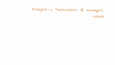 question-7-2-pts-you-are-in-the-drug-discovery-business-what-enzyme-would-you-target-to-prevent-the-transcription-of-eukaryotic-mrnas-but-does-not-affect-transcription-of-most-other-rnas-rna-02662