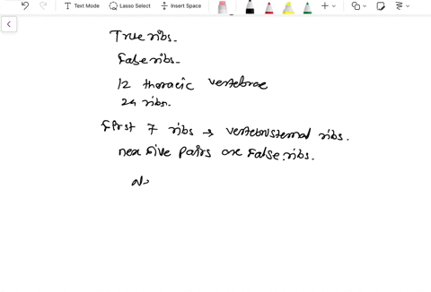 define-the-parts-and-functions-of-the-thoracic-cage-36276