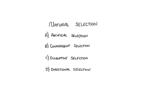 the-mode-of-natural-selection-in-which-one-extreme-phenotype-is-fittest-and-the-environment-selects-against-the-others-is-group-of-answer-choices-artificial-selection-convergent-selection-disruptive-s