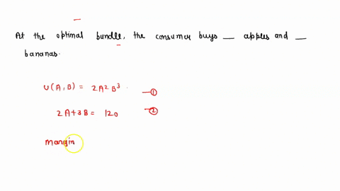 there-are-two-goods-apples-and-bananas-the-price-of-apples-is-pa-2and-the-price-of-bananas-is-pb-3-a-consumer-has-120-to-spend-and-his-utility-function-is-uab-2a2b3-at-the-optimal-bundle-the-73737