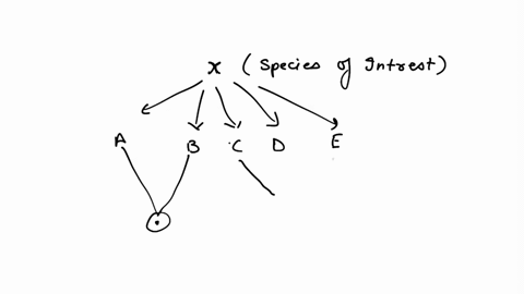 q3-draw-or-design-a-basic-rooted-phylogenetic-tree-please-include-at-least-one-branch-point-one-node-two-tips-and-in-a-sentence-or-two-explain-what-each-of-these-features-represents-you-can-24549