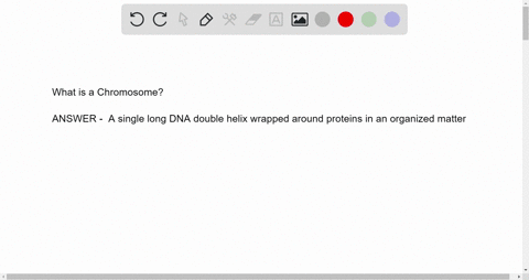 incorrect-question-7-0-05-pts-what-is-a-chromosome-single-gene-found-in-the-nucleus-of-a-cell-a-strand-of-protein-wrapped-around-dna-molecule-single-long-dna-double-helix-wrapped-around-prot-0882