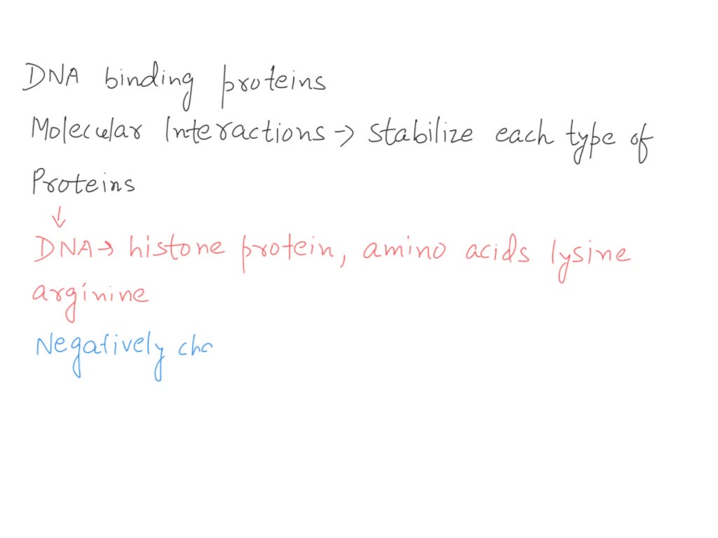 SOLVED Two common structural motifs for DNA binding proteins are