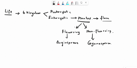 angiosperms-are-most-successful-plants-on-earth-in-addition-to-producing-____-and-____-to-aid-in-pollination-and-in-seed-dispersal-angiosperms-produce-_____-that-serve-as-attractants-for-pol-85485