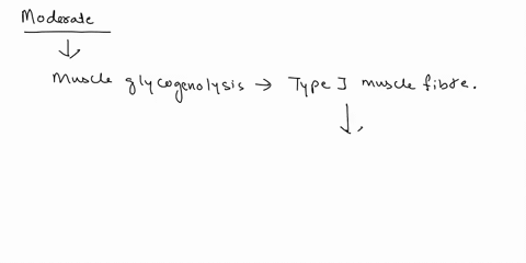 during-moderate-levels-of-activity-what-happens-to-what-does-glucoselbeceene_-become-what-do-what-is-its-fate-what-are-the-we-call-this-process-mitochondria-does-glucose-go-using-to-produce-47662
