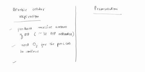 which-of-the-following-not-difference-between-aerobic-cellular-respiration-and-fermentation-02-is-the-final-lectron-acceptor-in-aerobic-cellular-respiration-but-not-in-fermentation-the-fina-00774