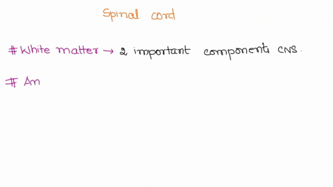 chart-complete-the-following-chart-as-you-identify-and-describe-each-structural-feature-of-the-spinal-cord-description-structure-andlor-function-structural-feature-white-matter-anterior-funi-55982