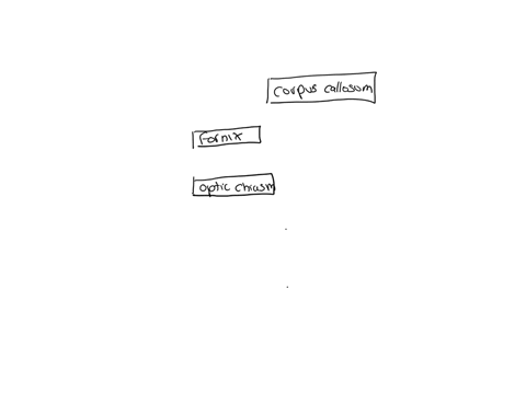 parta-drag-the-labels-onto-the-diagram-to-identify-the-parts-of-the-hypothalan-us-and-surrounding-structures-corpus-callosum-0en-halamu-p-nb-88403