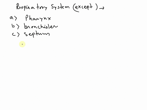 all-of-the-following-are-parts-of-the-respiratory-system-except-pharynx-brionchioles-septum-trachea-60745