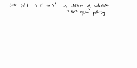 210-e-coli-dna-polymerase-exhibits-the-following-enzymatic-activities-to-3-polymerase-activity-3-to-5-exonuclease-activity-and-5-t0-3-exonuclease-activity-5-to-3-polymerase-activity-and-5-to-03123