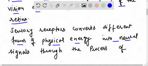 sensory-receptors-convert-different-forms-of-physical-energy-into-neural-signals-through-the-process-72185