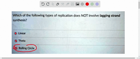 which-of-the-following-types-of-replication-does-not-involve-lagging-strand-synthesis-linear-theta-rolling-circle-54368