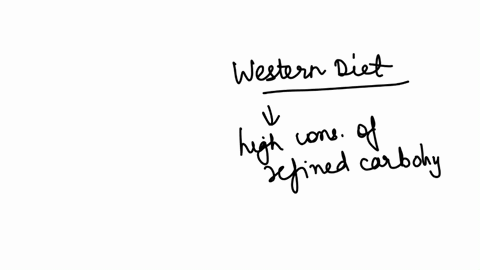 4-work-alone-question-1-1-pts-which-of-the-following-is-not-assoclated-with-a-trarsition-towards-a-western-style-diet-pxined-cartbohydrates-added-evears-added-sodiam-primarly-plant-based-high-consumpt