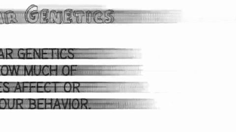 what-is-the-study-of-specific-genes-and-teams-of-genes-that-influence-behavior-called-a-molecular-ge-49374