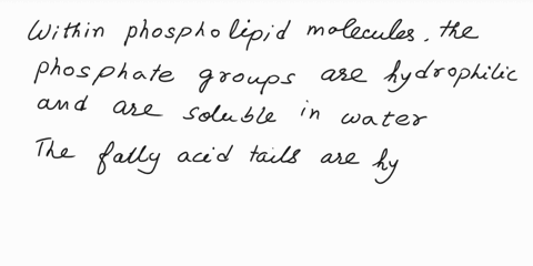 properties-oi-pheaphollpid-molecules-within-phospholipid-moleculestheclick-to-selcare-hydrophilic-and-are-soluble-in-waterin-contrast-the-click-to-select-click-to-select-are-hydrophobic-and-18522