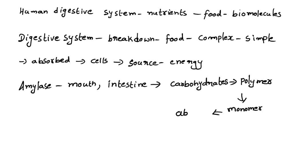 SOLVED What do you think is meant by the statement “the human