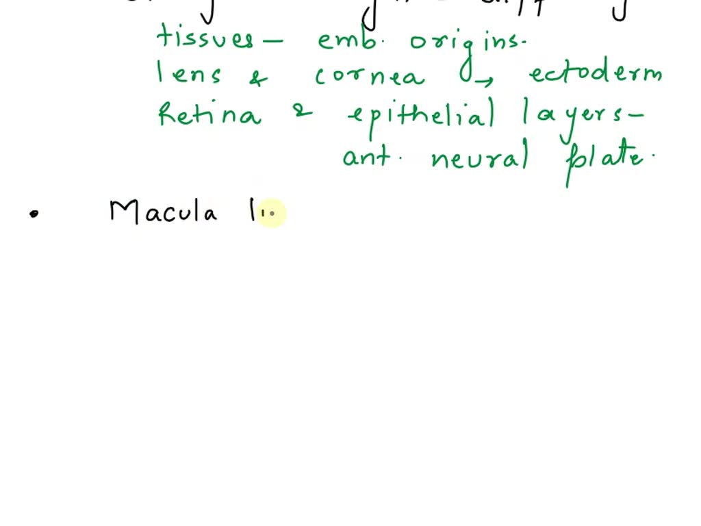 SOLVED 1. List the similarities and differences between rods and cones