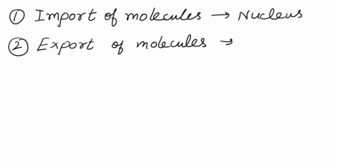 what-is-a-function-of-a-nuclear-pore-77043