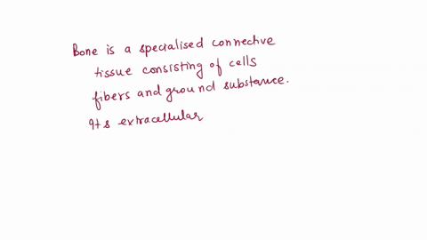 why-does-bone-tissue-fit-into-the-major-category-of-connective-tissue-43906