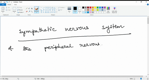 help-needed-this-part-of-the-peripheral-nervous-system-is-responsible-for-preparing-the-body-to-respond-to-an-acute-external-stimulus-67435