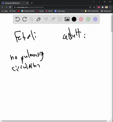 describe-the-differences-between-the-fetal-and-adult-heart-5pts-does-blood-flow-through-the-fetus-in-the-same-way-as-the-adult-if-not-how-does-the-blood-flow-differ-5pts-describe-the-three-s-94233