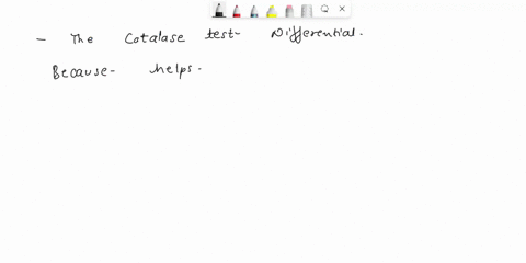 table-8-catalase-test-ibacterium-result-hicrococcus-luteus-sraphylococcus-ourzus-ipseudomonos-fluorescens-iescherichia-coli-ienterococcus-faecalis-formerty-iknown-as-stophylococcus-lisecolis-35957