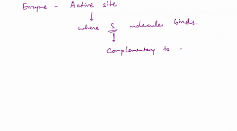 1-explain-the-mechanism-of-the-lock-and-key-model-of-enzyme-substrate-binding-figure-1-m-n-o-p-q-r-1-2-3-4-5-numbers-go-under-the-arrows-refer-to-figure-1-the-final-product-r-will-most-likel-79412