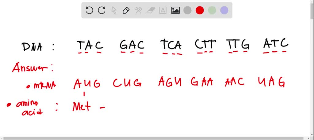 SOLVED: 10. Using the information provided: mRNA codon; AUG AAC CGU GAA ...