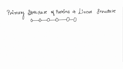 which-of-the-following-best-describes-primary-structure-in-proteins-a-it-is-the-number-of-amino-acids-present-in-the-complete-protein-b-it-is-the-number-of-peptide-bonds-in-the-complete-prot-16362